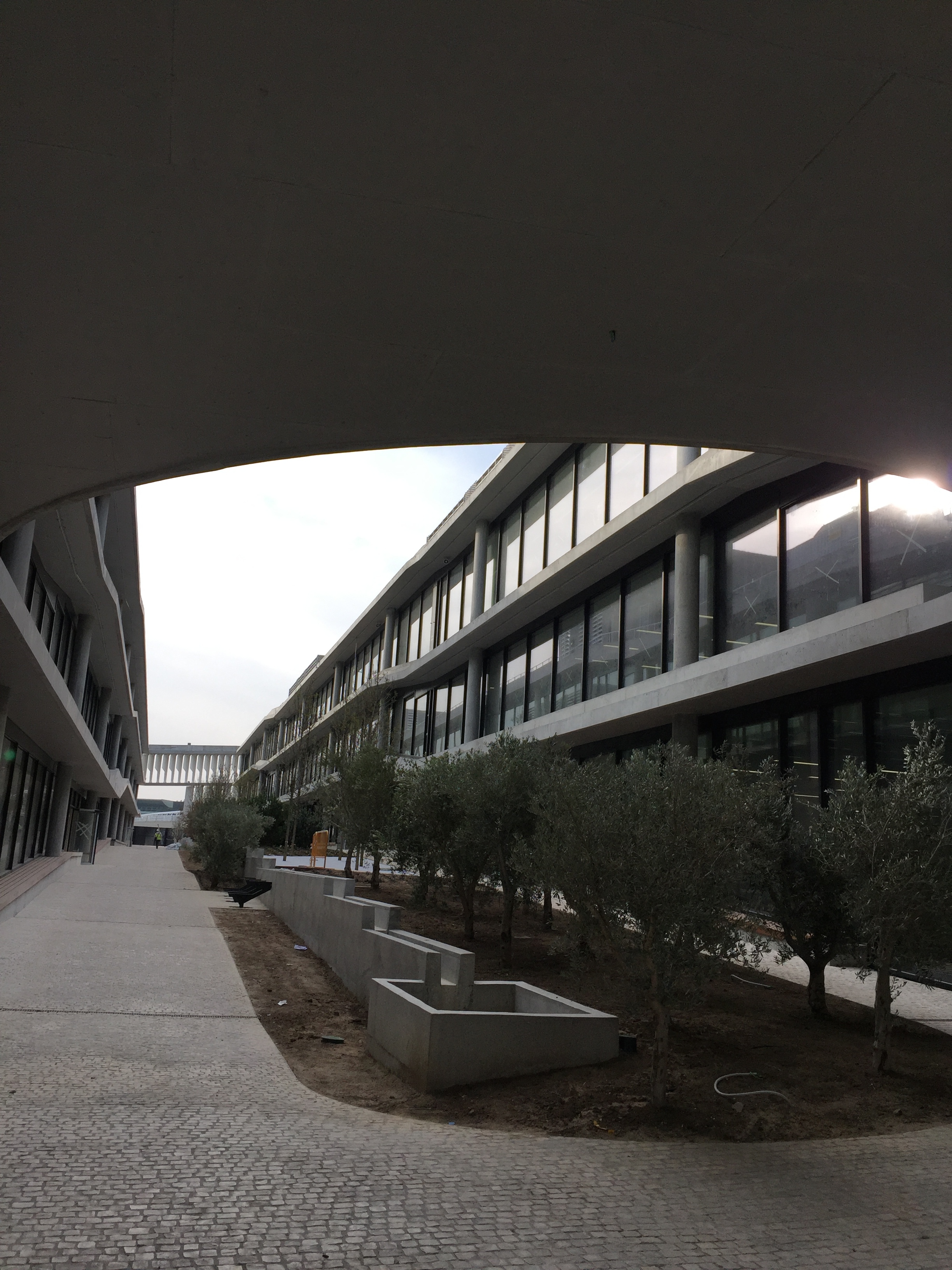 Sede BBVA